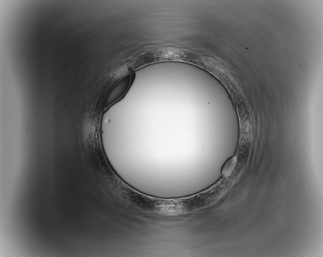 X0000099230415200804241233