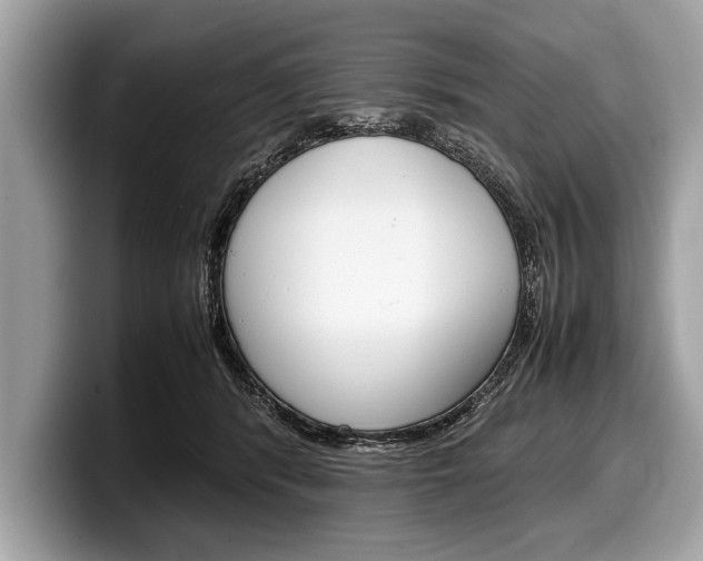 X0000099230416200804241233