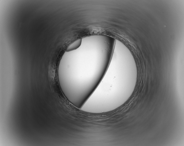 X0000099230417200804241233