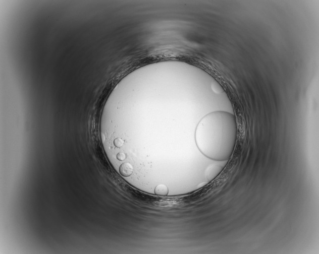 X0000099230418200804241233