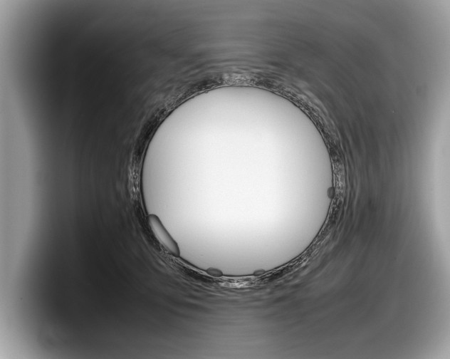 X0000099230419200804241233