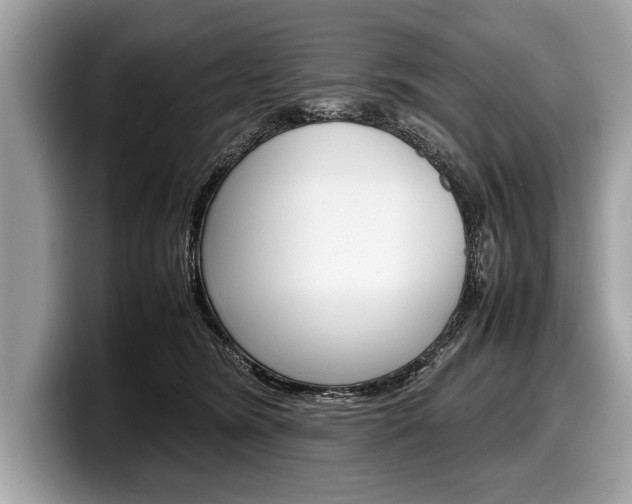 X0000099230420200804241233