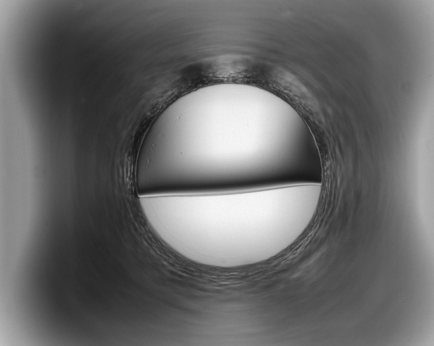 X0000099230421200804241233