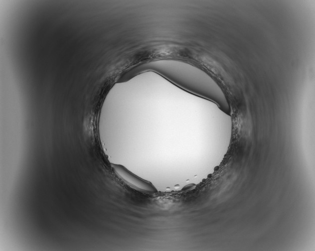 X0000099230423200804241233