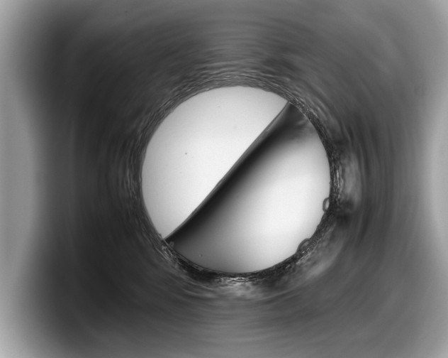 X0000099230424200804241233