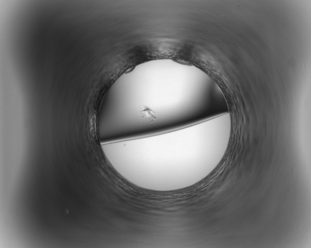 X0000099230425200804241233