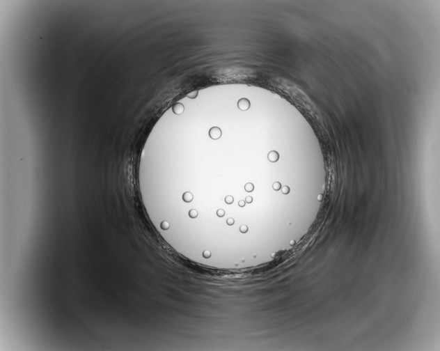 X0000099230426200804241233