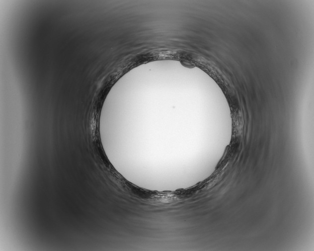 X0000099230427200804241233