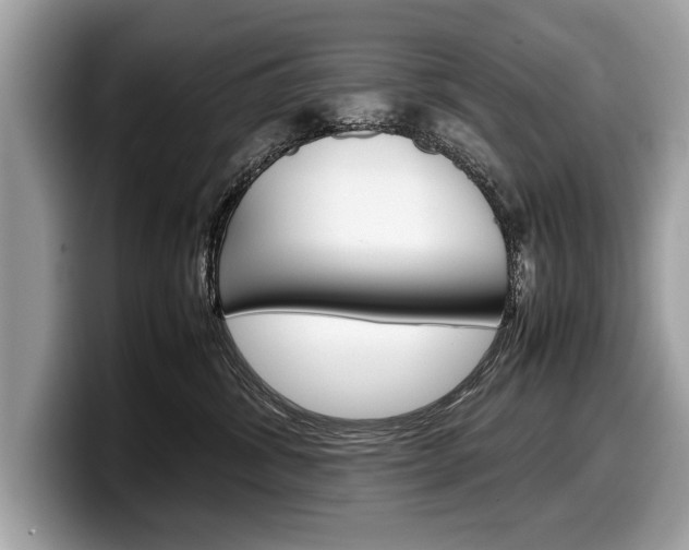 X0000099230428200804241233