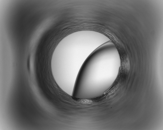 X0000099230429200804241233