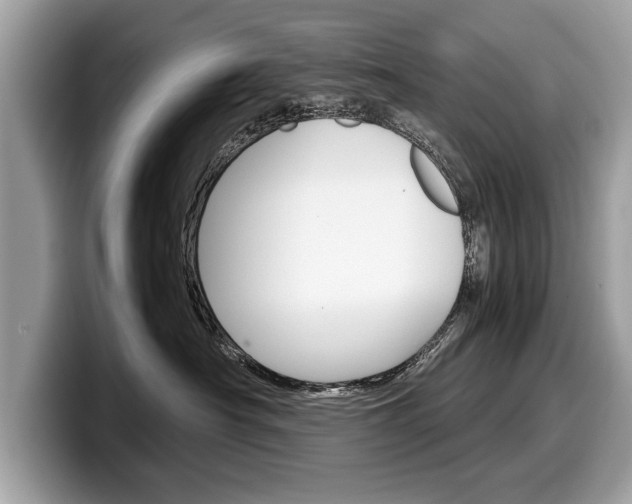 X0000099230430200804241233