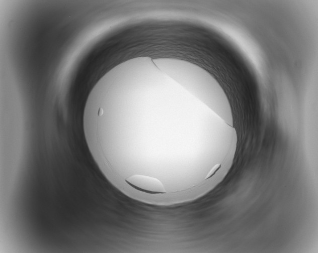 X0000099230431200804241233