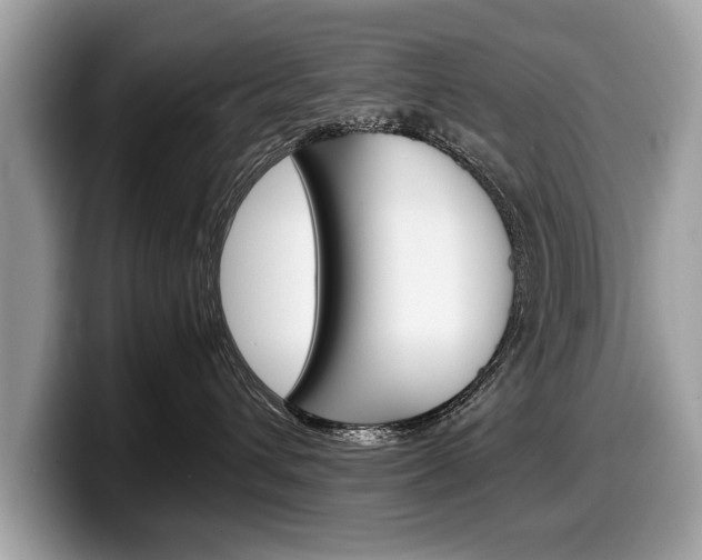X0000099230432200804241233