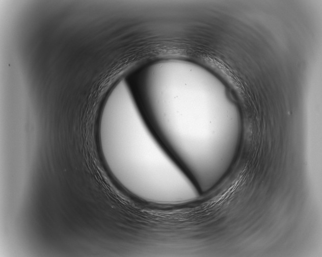X0000099230433200804241232