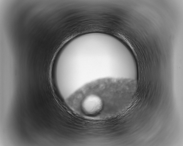 X0000099230435200804241232
