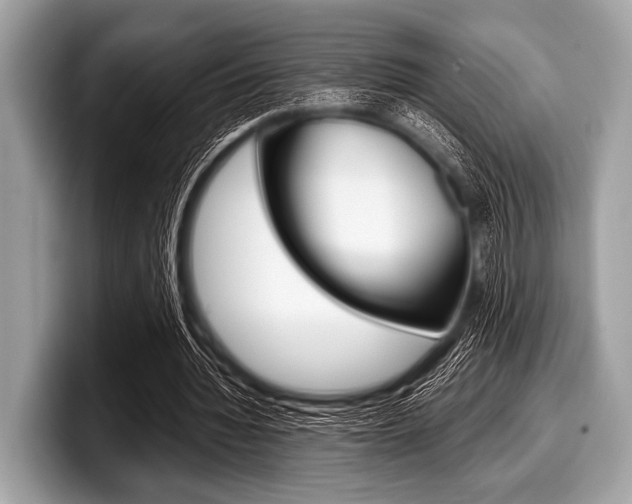 X0000099230436200804241232