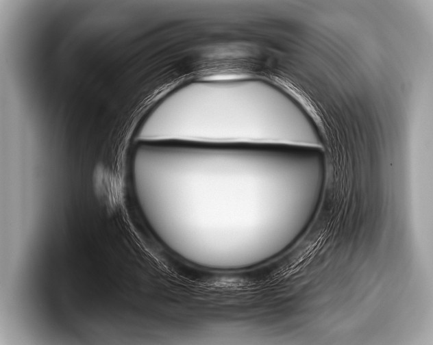 X0000099230437200804241232