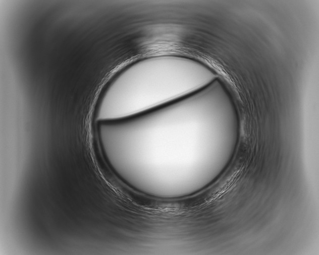X0000099230438200804241232