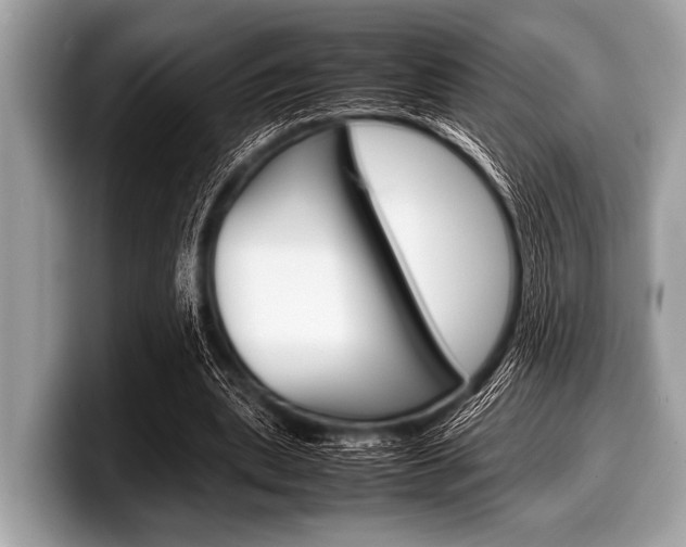 X0000099230439200804241232