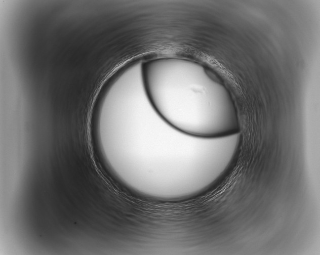 X0000099230440200804241232