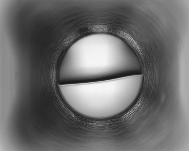 X0000099230441200804241232