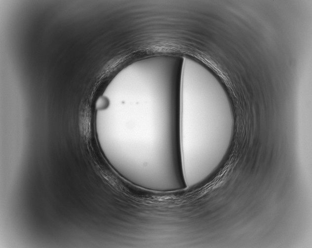 X0000099230446200804241232
