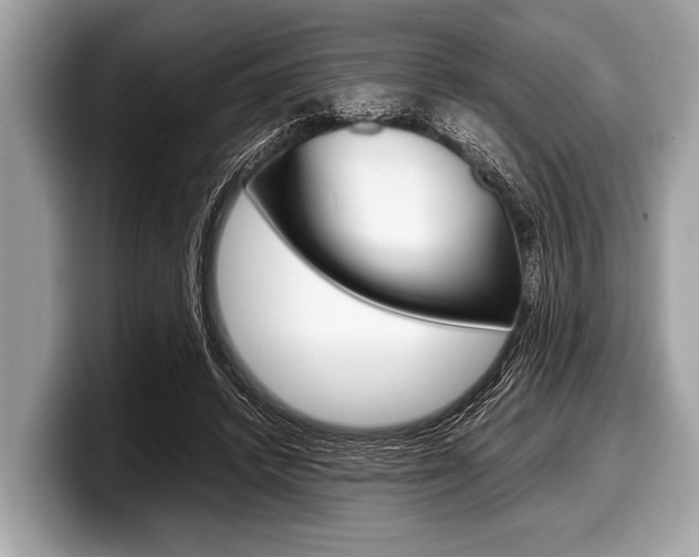 X0000099230448200804241232