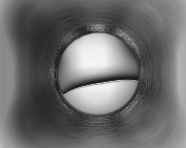 X0000099230449200804241232