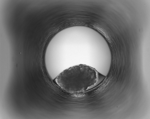 X0000099230453200804241233