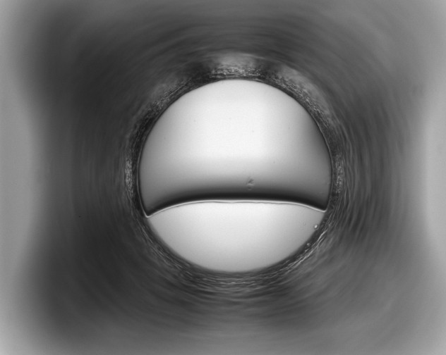 X0000099230457200804241233