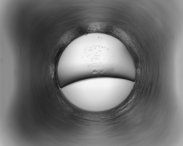 X0000099230458200804241233