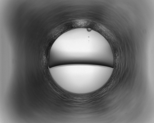 X0000099230459200804241233