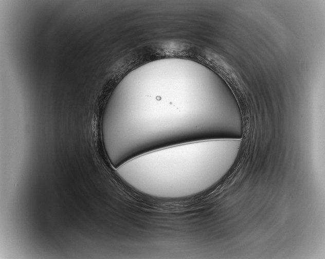 X0000099230461200804241233