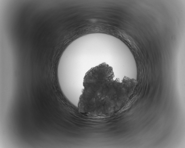 X0000099230463200804241233