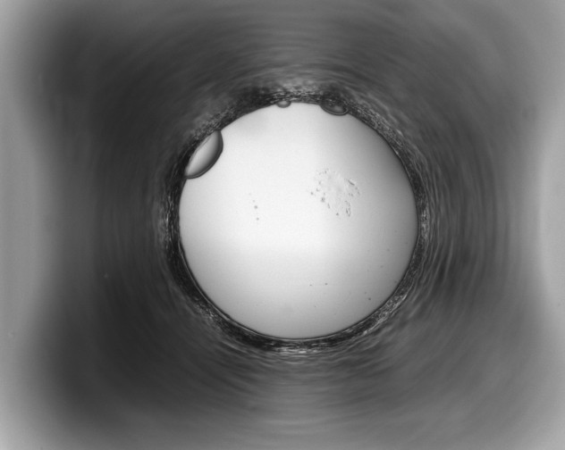 X0000099230464200804241233