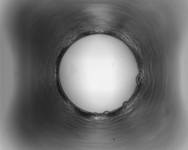 X0000099230466200804241233