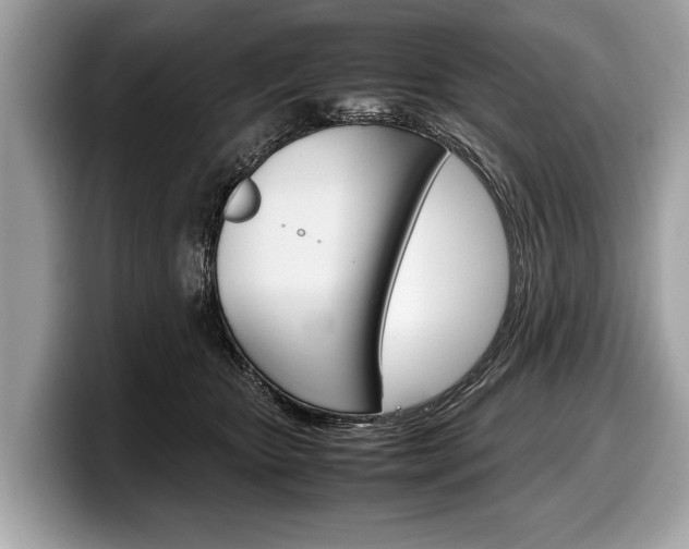 X0000099230467200804241233