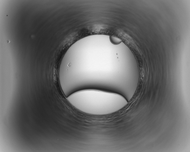 X0000099230470200804241233