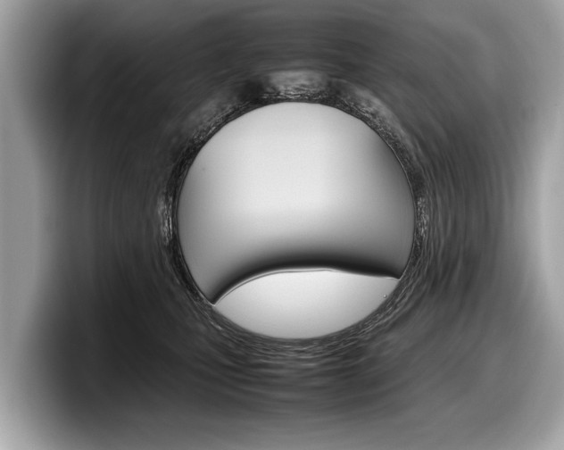 X0000099230471200804241233