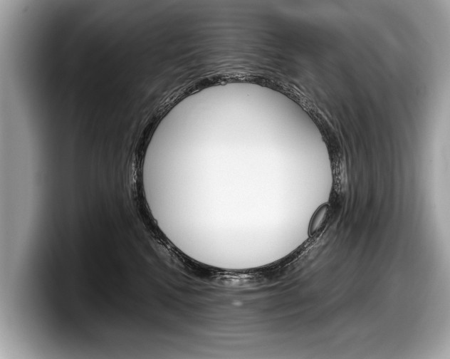 X0000099230472200804241233