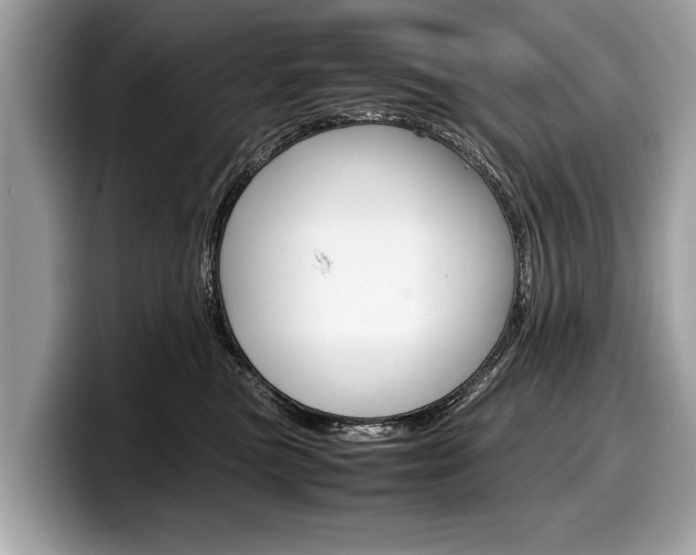 X0000099230473200804241233