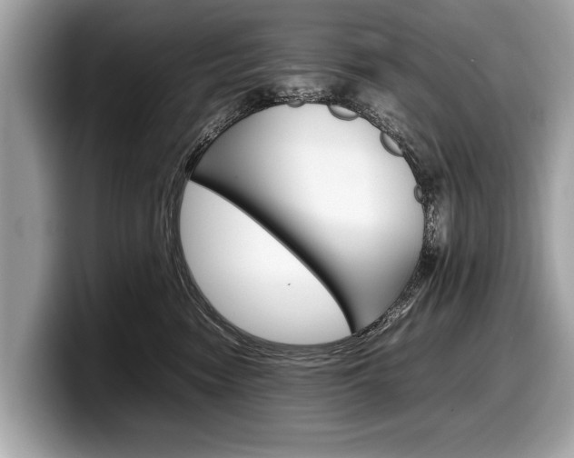 X0000099230474200804241233
