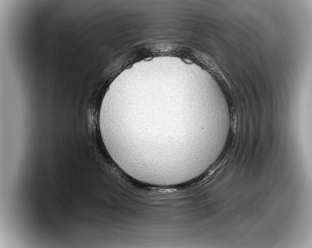 X0000099230476200804241233