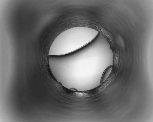 X0000099230477200804241233