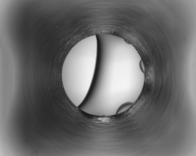X0000099230478200804241233