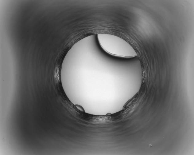 X0000099230479200804241233
