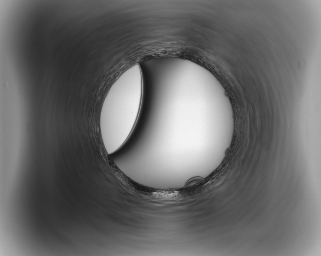 X0000099230480200804241233
