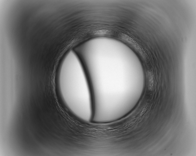 X0000099230482200804241232