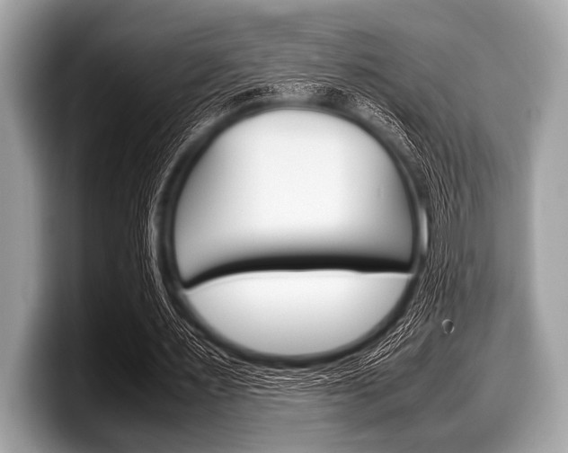 X0000099230483200804241232