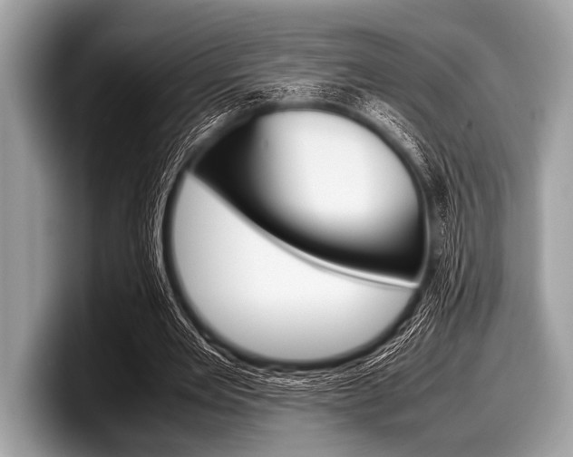 X0000099230485200804241232